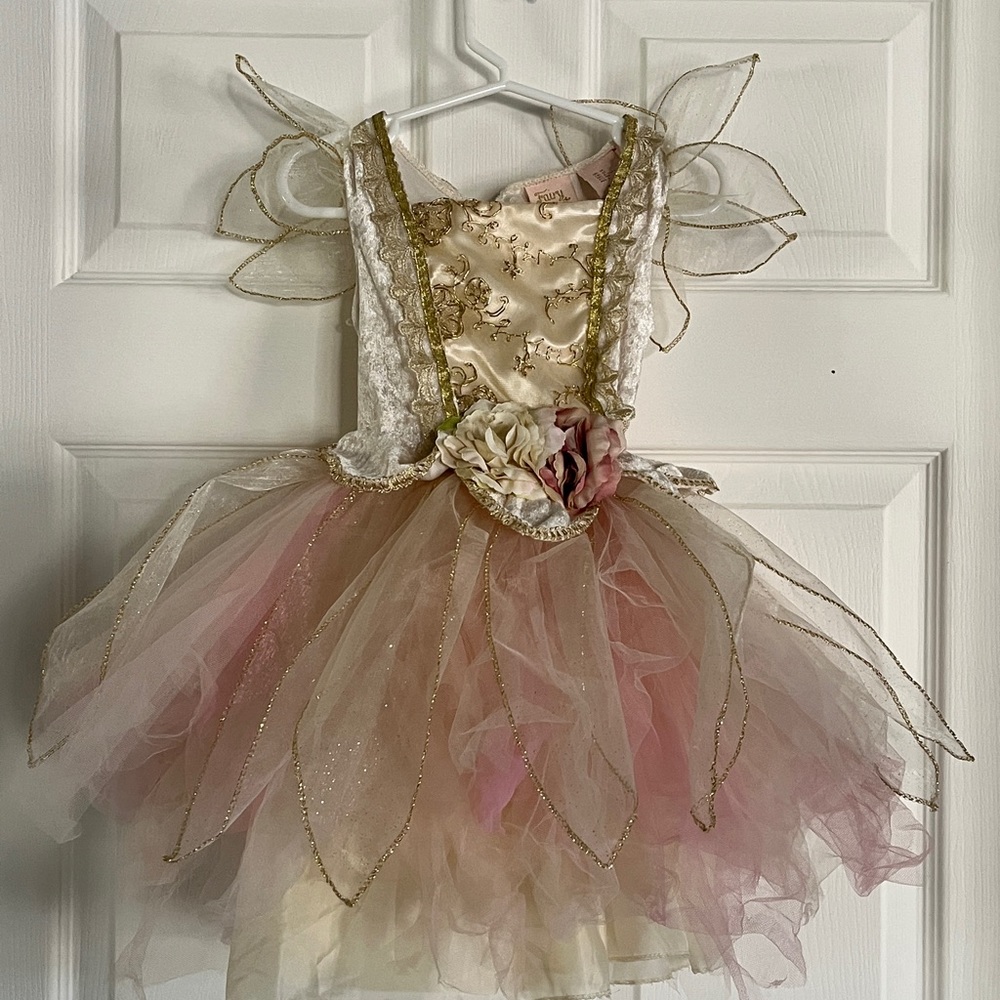 Princess/Fairy Costume